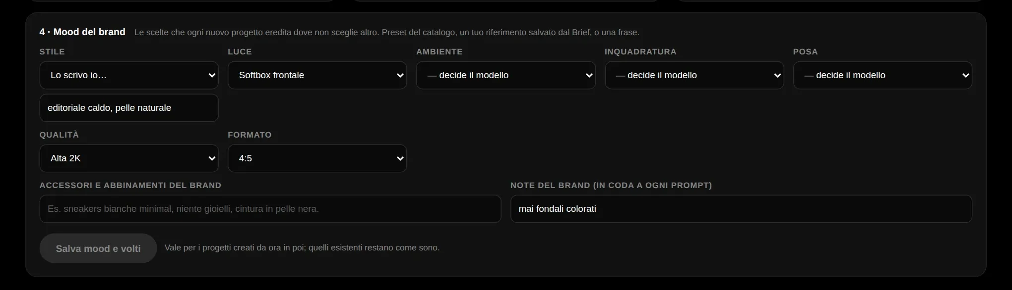 Pannello Brand: il logo e il mood salvati